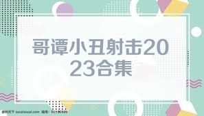 哥谭小丑射击2023合集