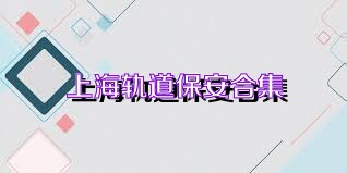 上海轨道保安合集