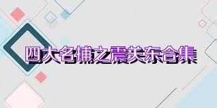 四大名捕之震关东合集