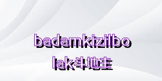 badamkizilbolak斗地主